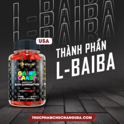 Thành phần chính có trong Gains Candy MitoBurn