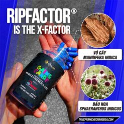 thành phần gains candy ripfactor