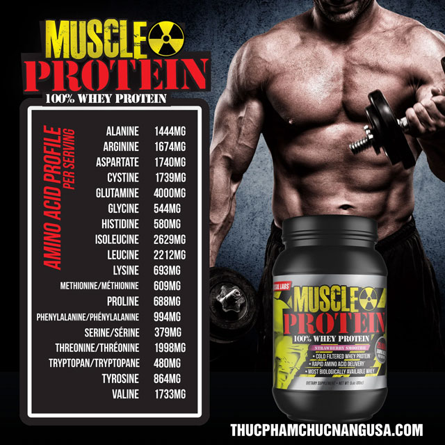 Thành phần chính có trong 100% Whey Muscle Protein