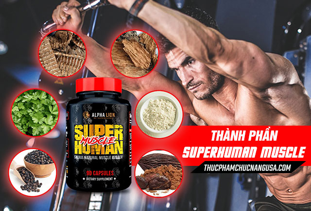 thành phần superhuman muscle